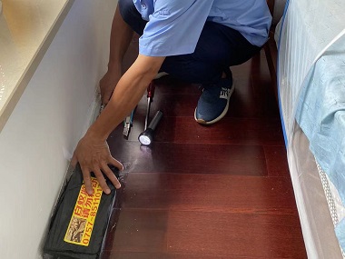 增城滅治白蟻機構房屋產生白蟻危害的原因