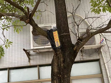 荔灣驗收白蟻機構城市園林中白蟻怎么防治